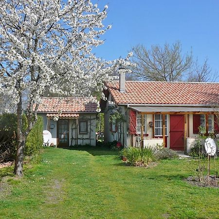 Guesthouse La Burle Parentis-en-Born Camera foto