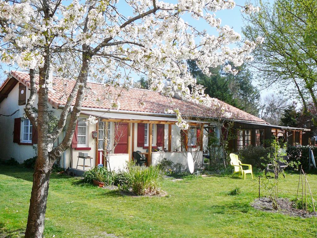 Guesthouse La Burle Parentis-en-Born Camera foto